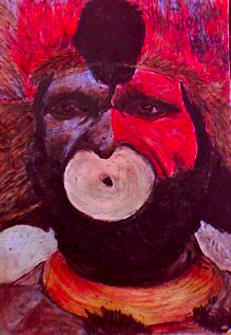 krijt tekening van een papoeaman uit  new guinea getekend door Brigit Weeda.